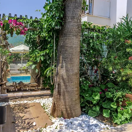 Istanblue Kalkan كاس